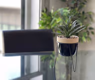 Brooklyn House-31 Rillaton Walk