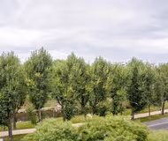 Hochbergerstrasse Serviced Apartments