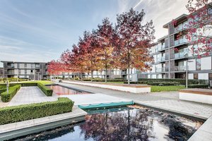 Vizion Apartments in MK
