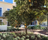 Beatriz Serviced Apartments