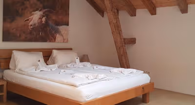 Lindenstrasse Serviced Apartment