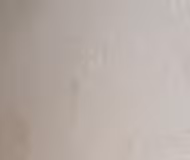 Canaan Executive Apartments