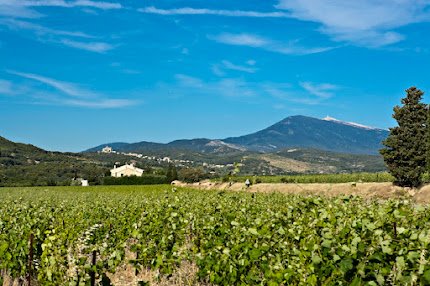A Dream French House at the Foot of Mont Ventoux