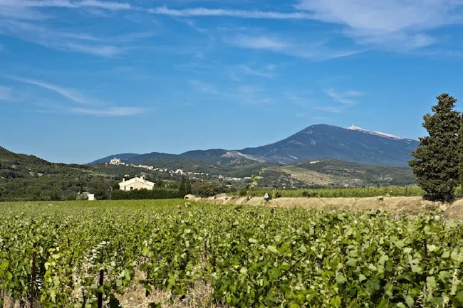A Dream French House at the Foot of Mont Ventoux