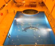 Pool side at Khaleej Road Serviced Apartment