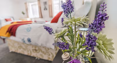 Snooze - Brearton Street