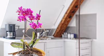 Aschaffenburg Serviced Apartment