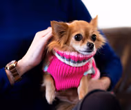 Stunning living area in Great Western Road Apartment Aberdeen