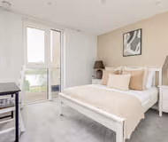 The Woodberry Collection