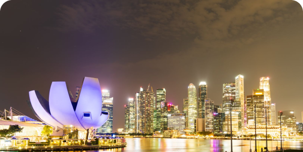 Singapore Relocation Guidee